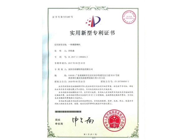 Thin film horn patent certificate