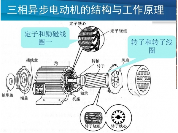 三相异步电动机转向由什么决定